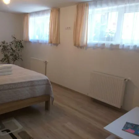 Apartament Gospodarilor 14 דירה *
